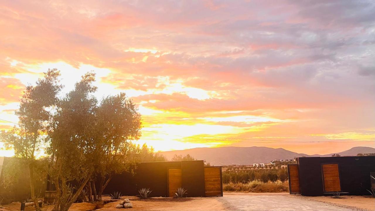 Finca Cazosa Vila Valle de Guadalupe Exterior foto